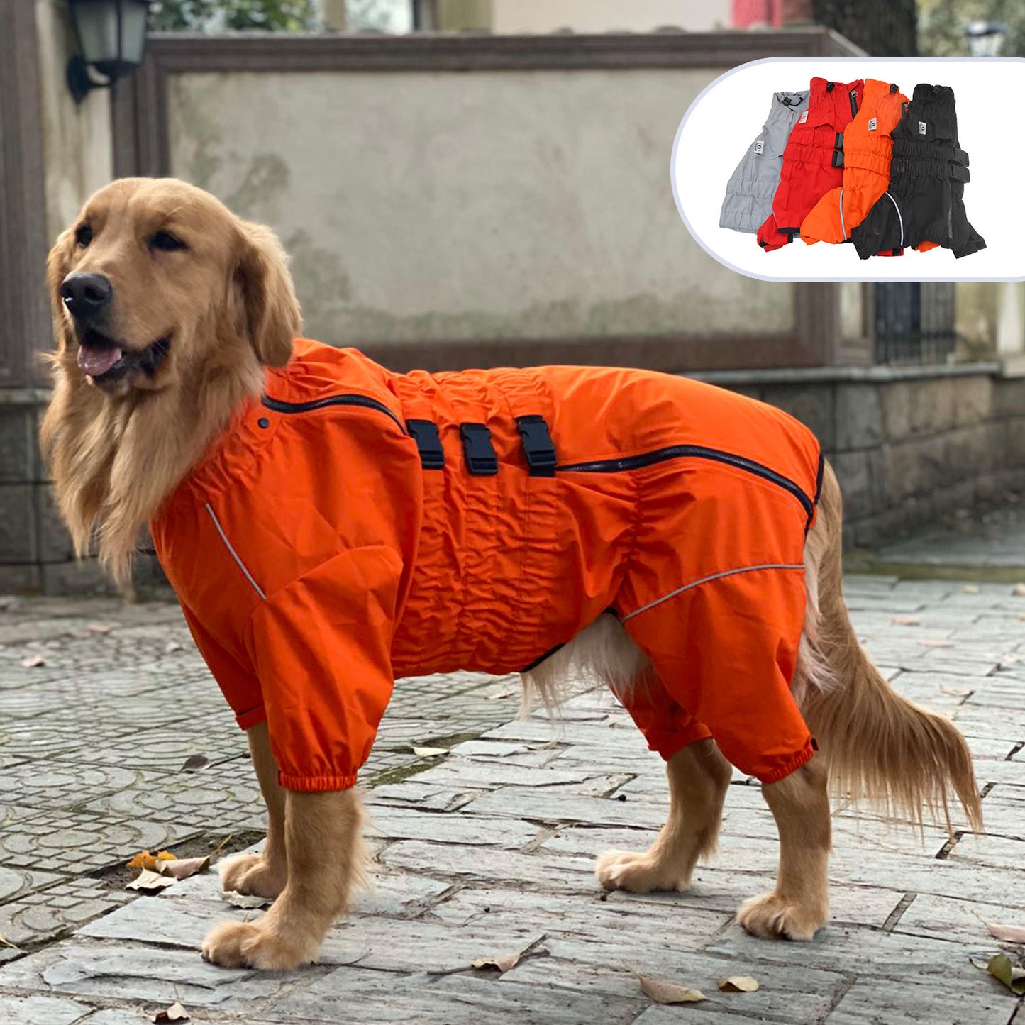 Hunde Regenjacke "Jack"