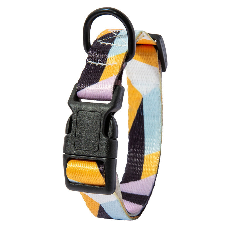 Hunde Halsband "Spike"