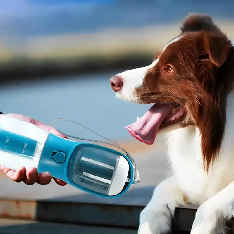 Hunde Trinkflasche "Rex"