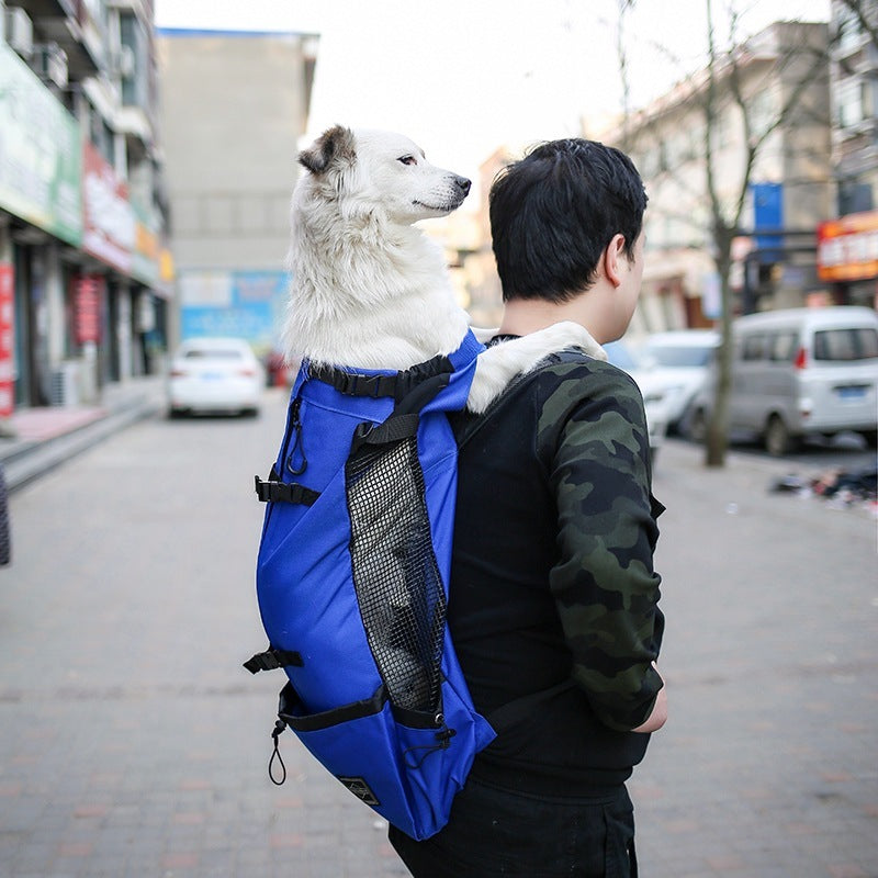 Transport Rucksack "Oscar"