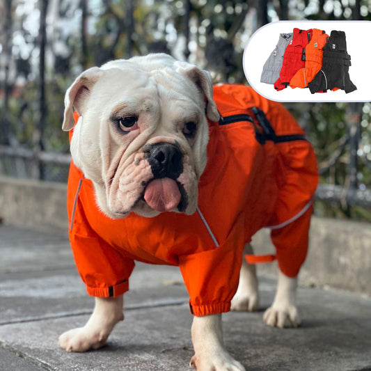 Hunde Regenjacke "Jack" - Pawlando Hundebekleidung (Image 2)