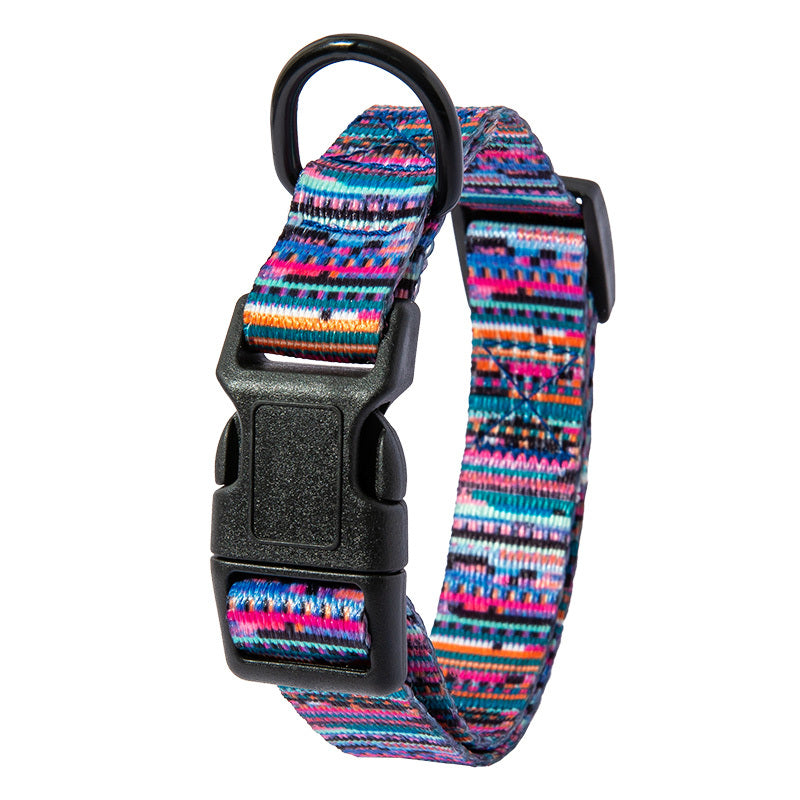 Hunde Halsband "Spike"