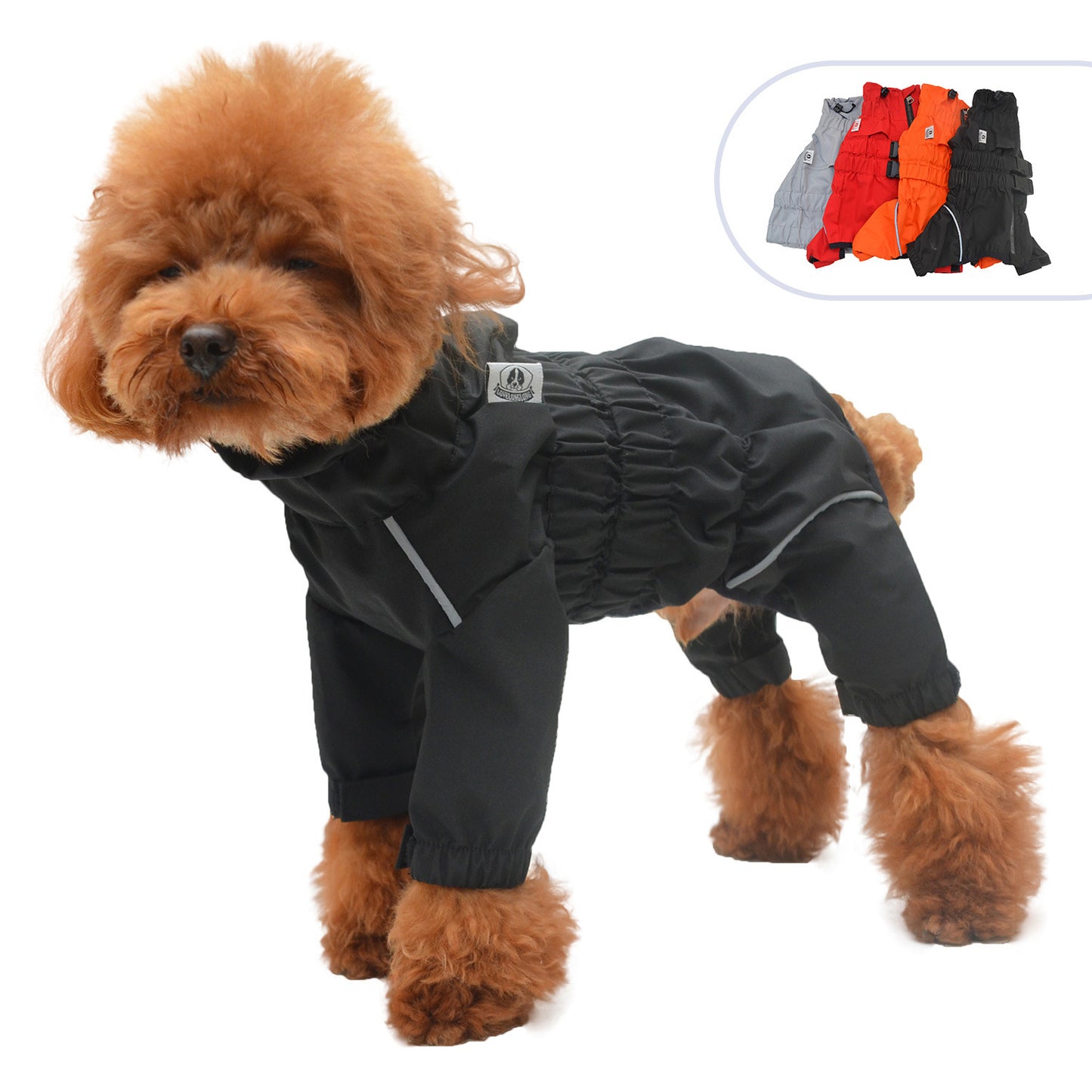 Hunde Regenjacke "Jack"