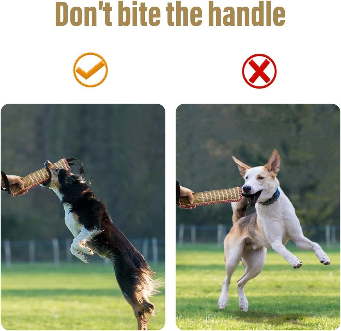 Hunde Spielzeug "Charlie"