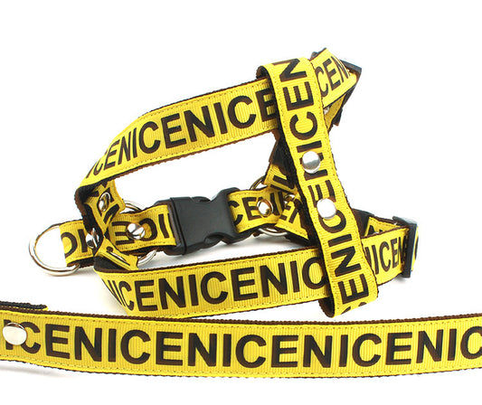 Geschirr Leinen Set "Nice"
