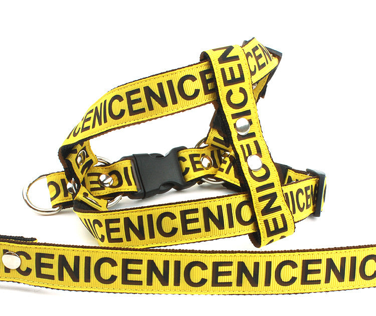 Geschirr Leinen Set "Nice"