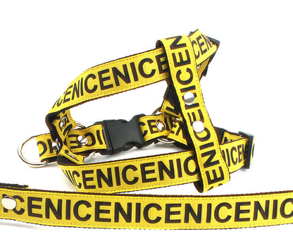 Geschirr Leinen Set "Nice"