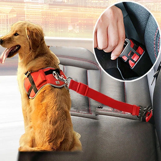 Hunde Autogurt "Tapsi"