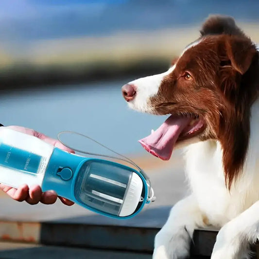 Hunde Trinkflasche "Rex"