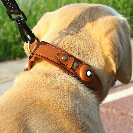Hundehalsband "Leo"