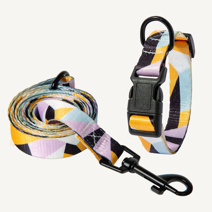Hunde Halsband "Spike"