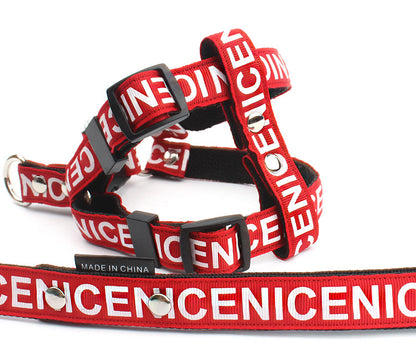 Geschirr Leinen Set "Nice"