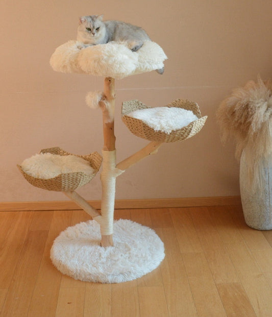 Kratzbaum "Cookie"