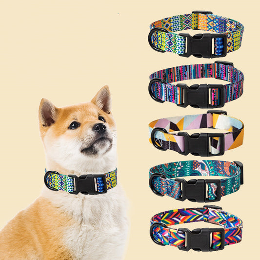 Hunde Halsband "Spike"
