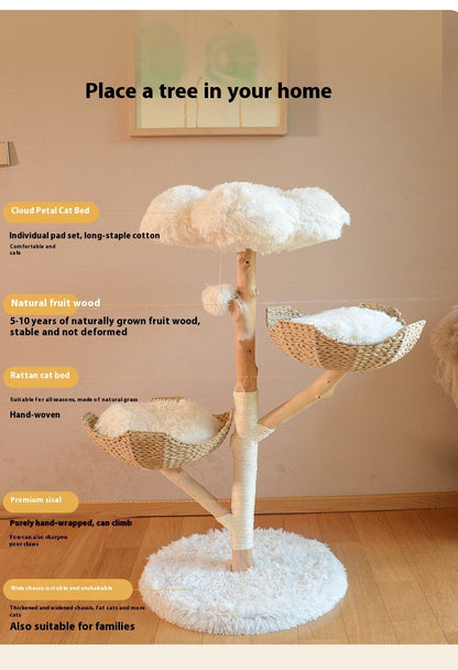 Kratzbaum "Cookie"