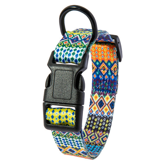 Hunde Halsband "Spike"