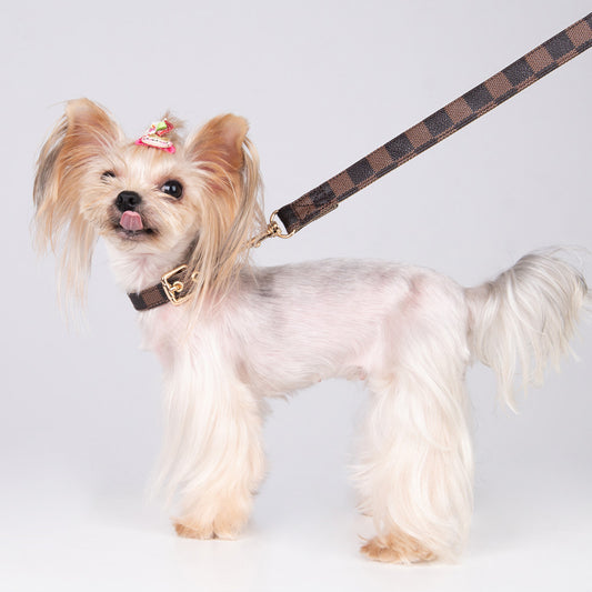 Halsband Leinen Set "Louis"