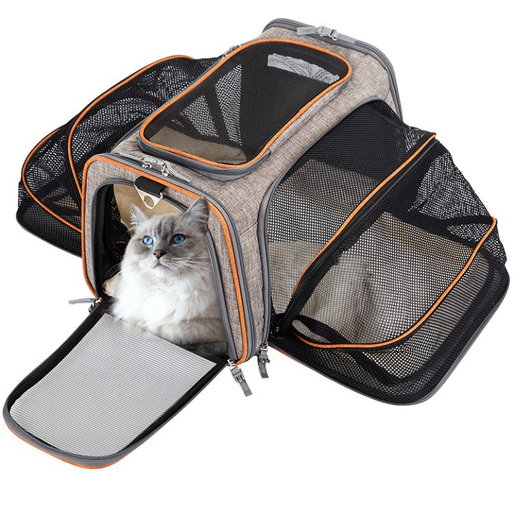Transportbox "Clyde"