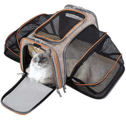 Transportbox "Clyde"