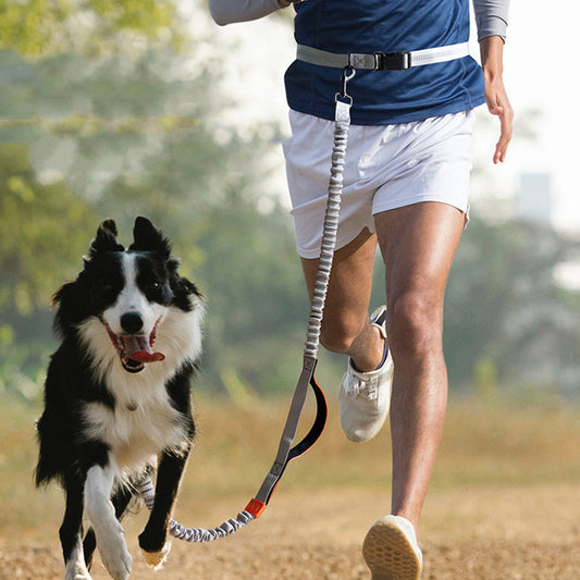 Running Laufleine "Thor"